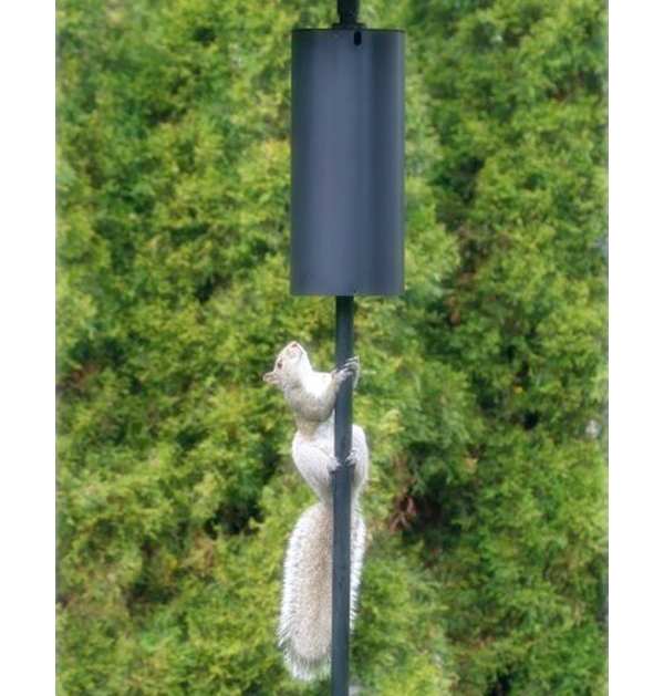 Cylindrical Squirrel Pole Baffle